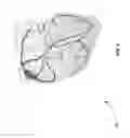 Fig. 05 - Systems and methods for cardiomyocyte conduction speed mapping