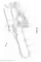 Fig. 14 - Fluid diversion mechanism for bodily-fluid sampling