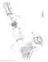 Fig. 19 - Fluid diversion mechanism for bodily-fluid sampling