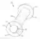 Fig. 01 - MULTI-CHAMBERED CANNULA