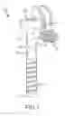Fig. 02 - MULTI-CHAMBERED CANNULA