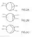 Fig. 03 - MULTI-CHAMBERED CANNULA