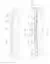 Fig. 11 - Apparatus and method for enlarging an incision