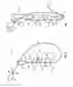 Fig. 04 - FILAMENTARY FIXATION DEVICE AND ASSOCIATED METHODS OF MANUFACTURE AND USE