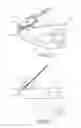 Fig. 28 - Laparoscopic suture device with release mechanism