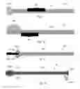 Fig. 07 - METHODS, COMPOSITIONS, DEVICES AND KITS FOR ANASTOMOSES