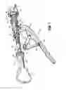 Fig. 06 - Surgical stapling apparatus with reusable components