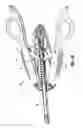 Fig. 08 - Surgical clip applier