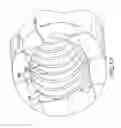 Fig. 17 - Orthopaedic tool cluster clamp and orthopaedic tools