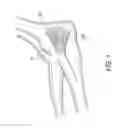 Fig. 02 - ELBOW RECONSTRUCTION INSTRUMENTS