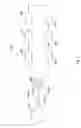 Fig. 04 - Oscillating lithotripter