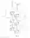 Fig. 11 - Spinal Stabilization