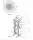 Fig. 14 - Spinal Stabilization