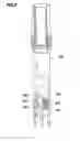 Fig. 14 - Vertebral column-stabilizing system and surgical fastening element for a vertebral column-stabilizing system
