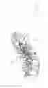 Fig. 03 - Apparatus and devices for percutaneously extending an existing spinal construct