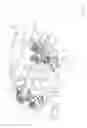 Fig. 25 - Apparatus and devices for percutaneously extending an existing spinal construct