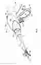 Fig. 02 - Endoscopic vessel sealer and divider for large tissue structures
