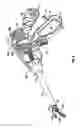 Fig. 09 - Endoscopic vessel sealer and divider for large tissue structures