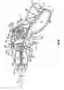 Fig. 11 - Endoscopic vessel sealer and divider for large tissue structures
