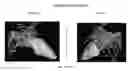 Fig. 01 - Body structure imaging