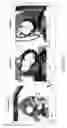 Fig. 23 - Body structure imaging