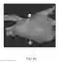 Fig. 52 - Body structure imaging