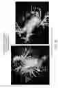 Fig. 57 - Body structure imaging