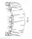 Fig. 03 - COMPONENTS FOR  PERMANENT REMOVABLE AND ADJUSTABLE DENTURES AND BRIDGES