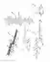 Fig. 04 - MOTORIZED TOOTHBRUSH