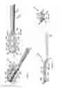 Fig. 13 - MOTORIZED TOOTHBRUSH