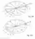 Fig. 31 - Device and method for deploying and attaching an implant to a biological tissue