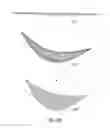 Fig. 07 - Systems and methods for mastopexy