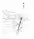 Fig. 18 - SCAPHOLUNATE CONSTRUCT