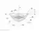 Fig. 01 - Bioanalogic intraocular lens