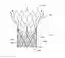 Fig. 01 - Stent cell bridge for cuff attachment