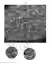 Fig. 06 - Method for manufacturing implant having porous layer on surface thereof