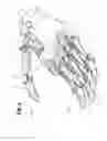 Fig. 05 - Prosthetic hand system