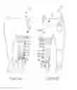 Fig. 02 - Systems and methods for increasing the effectiveness of a mechanical joint brace