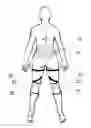 Fig. 01 - BACK SUPPORT