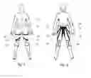 Fig. 02 - BACK SUPPORT