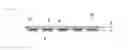 Fig. 03 - Method and device for feeding granular powder