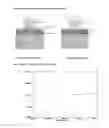 Fig. 02 - Composition for increasing of the effectiveness of UV-B therapy, process for the preparation thereof, and its use