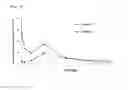 Fig. 06 - Injectable depot formulation comprising optically active tolvaptan and process of producing the same