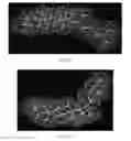 Fig. 35 - Drug delivery means