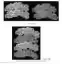 Fig. 40 - Drug delivery means