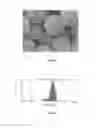 Fig. 02 - COMPOSITION COMPRISING AN ENCAPSULATED ANTAGOMIR
