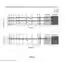 Fig. 03 - COMPOSITION COMPRISING AN ENCAPSULATED ANTAGOMIR