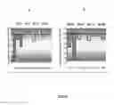 Fig. 06 - COMPOSITION COMPRISING AN ENCAPSULATED ANTAGOMIR