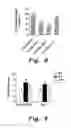 Fig. 06 - METHOD OF TREATING DELAYED HEALING OF A WOUND ASSOCIATED WITH DIABETES