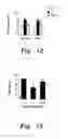 Fig. 08 - METHOD OF TREATING DELAYED HEALING OF A WOUND ASSOCIATED WITH DIABETES